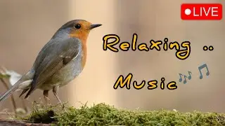Relaxing Piano Music &bull; Sleep Music, Water Sounds, Relaxing Music, Meditation Music live