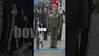 Funny penguin builds an army of l cute animals