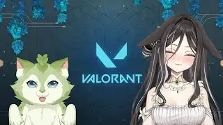 [1/28/25] Valorant Tier List! Ranking Every Valorant Knife Skin