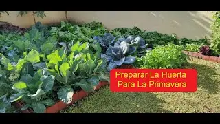 SIEMBRA Y TRASPLANTE EN LUNA NUEVA DE AGOSTO
