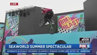 SeaWorld Summer Spectacular