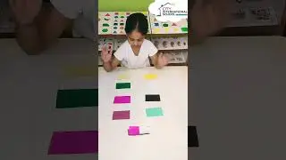Color Matching Activity for Kids | Boost Color Recognition & Cognitive Skills | Fun Learning Game