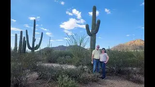 Saguaro National Park Cactus East and West Loops Tucson Arizona 2025