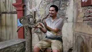 Python Holding: The Amazing Taman Safari Bali -- Bali, Indonesia