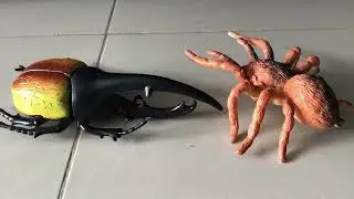 Arthropod wars