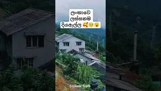 මේ දියඇල්ල දන්නෙ සුපිරිම Travel වැඩ්ඩො තමයි 😮🥺🥰 #travel #shorts