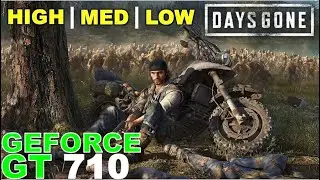 Days Gone (High , Med , Low)/ Gt 710 Can It Run ?? Game Tasted.