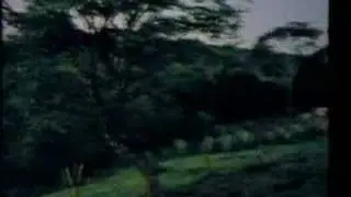 La Desición de Vencer (3)