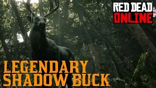 Red Dead Online: New Legendary Shadow Buck