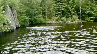 8 yr old boy cliff jump 40 feet