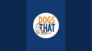 Walk &lsquo;n Talk: Consent