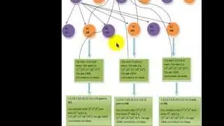 EMPOWER NETWORK INDIA HINDI PRESENTATION - MADHUKAR SHARMA-(08129015721)