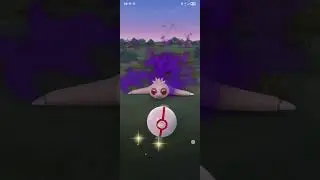 Wild Pok&eacute;mon moment caught on cam 🤯 Don&rsquo;t miss this! @YourChannel #pokemon #viral #shorts