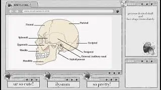 desired skull and face shape subliminal.