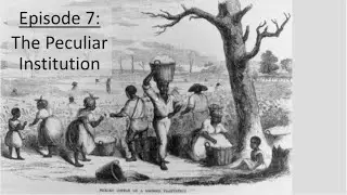 APUSH 04-07 The Peculiar Institution FLIPPED CLASS