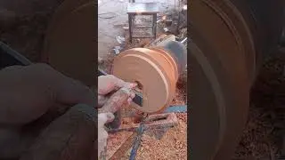 Crafted Curves, Living Wood