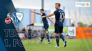 Testspiel 1. FC Köln v VfL Bochum 1848