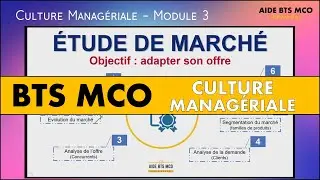 AIDE BTS MCO | Les bases de l'étude de marché | CULTURE MANAGERIALE BTS