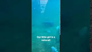Детёныш бегемота в зоопарке Мемфиса плавает под водой