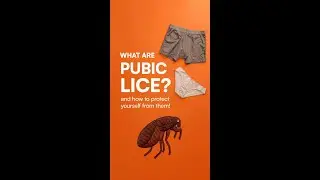 pubic lice reel