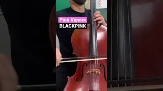 Pink Venom - BLACKPINK  Cello Cover #shorts