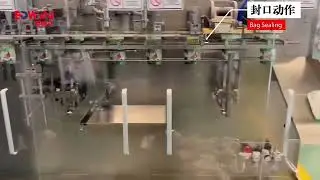 Horizontal packing machine for packaging coconut milk doypack  pouch  ~Export to Philippines 