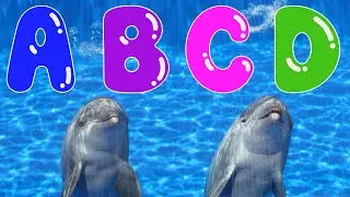 ABC Song with Dolphins | Fun Alphabet Learning for Kids