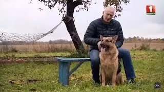 Актёр Игорь Сигов и его питомец. Трогательная история пса Норда. Путь домой