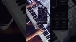 Control VSTs from your phone? First Song Section&mdash; Keyboard Lead | iOS MIDI App (BETA), Note Triggers