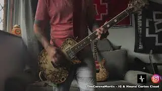 Morgenstern | RAMMSTEIN | Guitar Cover #neuraldsp #rammstein