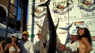 CatchStat | 2012 Bisbee's Los Cabos Offshore Tournament Fish #14363
