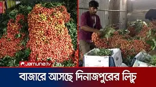বাজারে আসছে দিনাজপুরের রসাল লিচু, দাম কত? | Lichu Bazar