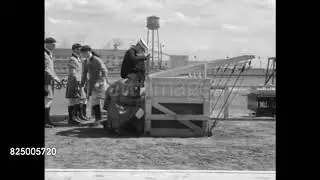 Record-setting greyhound race in Chicago 1929