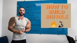 HOW TO BUILD MUSCLE