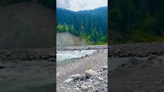 On the way to spinkhore Lake #nature #swat #pakistan #river #forest