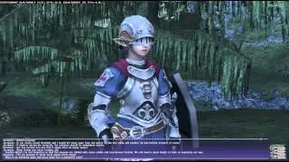FFXI WotG Bonds that never die (San d'Oria path) Pt 1