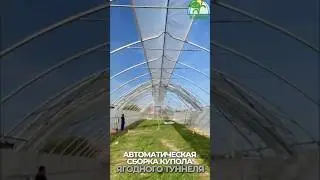 Автоматическая сборка купола ягодного  туннеля🍓