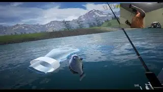Lets Play Oculus Touch -  Pro Fishing Challenge VR (free)