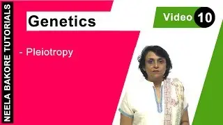 Genetics - Principles of Inheritance & Variations | Pleiotropy | NEET | Neela Bakore Tutorials