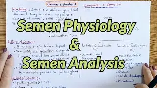 Semen Physiology and Semen Analysis