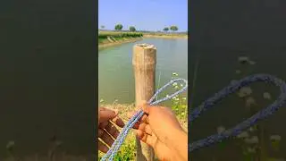 New Rope Knot Trick &ndash; Simple but Extremely Strong #shorts #camping #knowledge