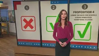 How did Texans vote on hot-topic state propositions?