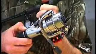 How to set your Baitrunner