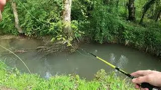 P&ecirc;che &agrave; la truite au bouchon/Toc