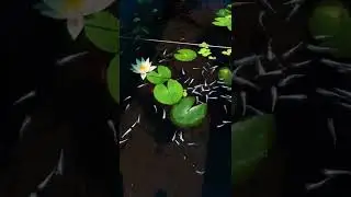 fishery Colorful Angelfish Colorful God Fame fish Goldfish #short#shorts