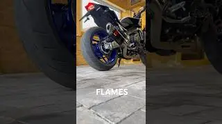2024 Yamaha MT-09 SP - Akrapovic racing line #bikelife #mt09 #yamaha #akrapovic
