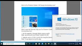 Fix Windows 10 May Update v1903 keeps downloading issue