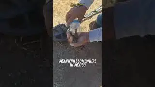Meanwhile Somewhere In Mexico #shortsvideo #shorts