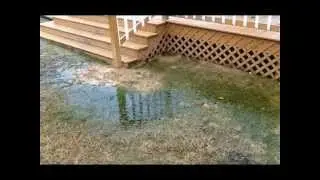 Exstream Water Problem in yard.wmv
