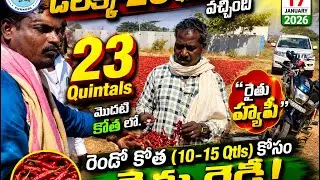 డీలక్స్ - 23 Quintals వచ్చింది మొదటి కోత లో. 